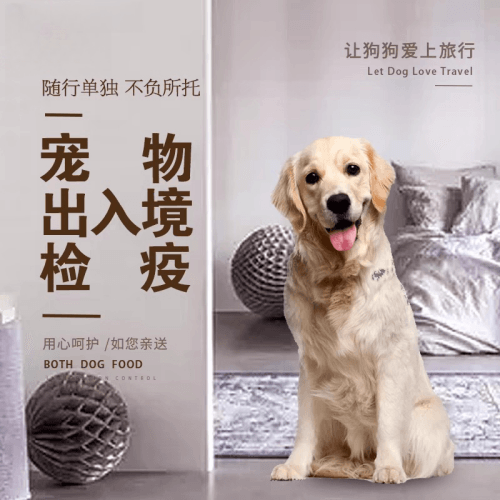 宁夏回族自治区宠物托运到哥伦比亚猫狗宠物入境规定和