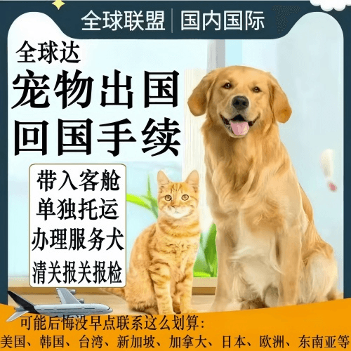 宁夏回族自治区宠物托运到柬埔寨宠物入境规定和要求