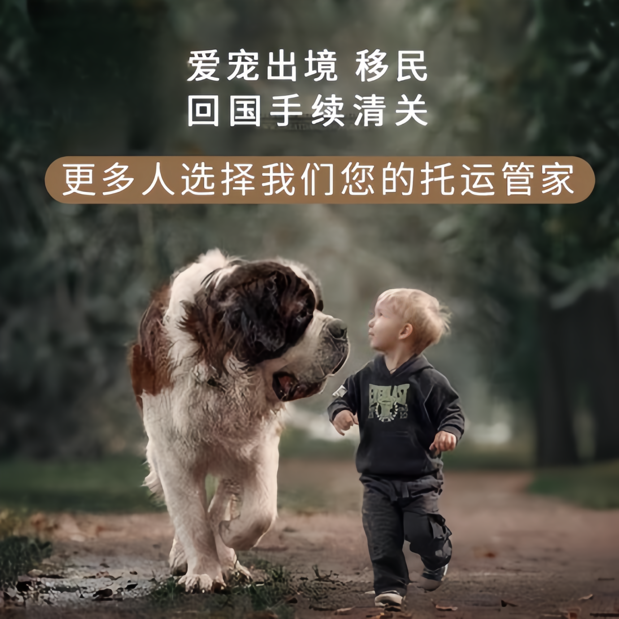 满财宁夏回族自治区宠物全球达宠物托运在遵守入境目的地政策的条件