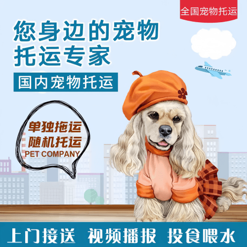 满财宁夏回族自治区宠物全球达宠物托运作为专业的宠物运输代理机构